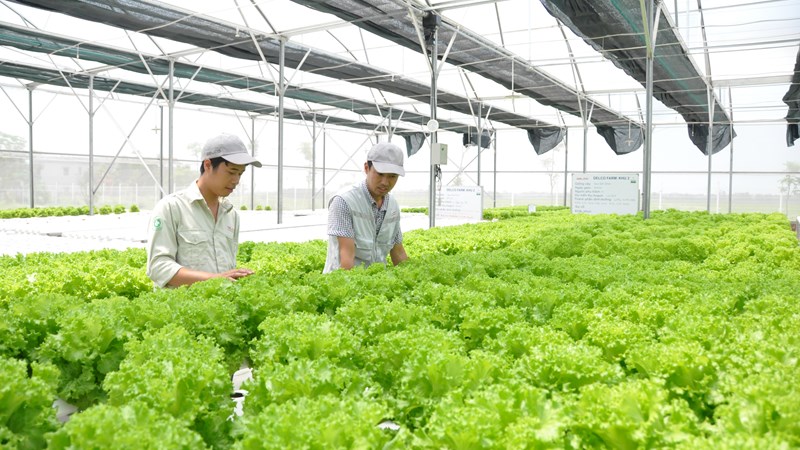 Đầu tư phát triển nông nghiệp thông minh 4.0: Kinh nghiệm từ Lâm Đồng