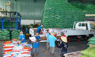 Gia tăng giá trị gạo Việt (Kỳ 1): Vì sao nông dân chưa mặn mà liên kết?