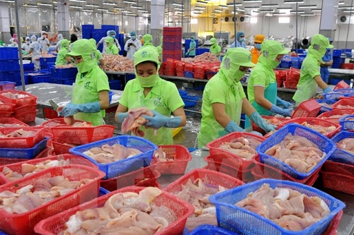 Kiểm tra toàn bộ các lô hàng cá da trơn xuất khẩu vào Hoa Kỳ