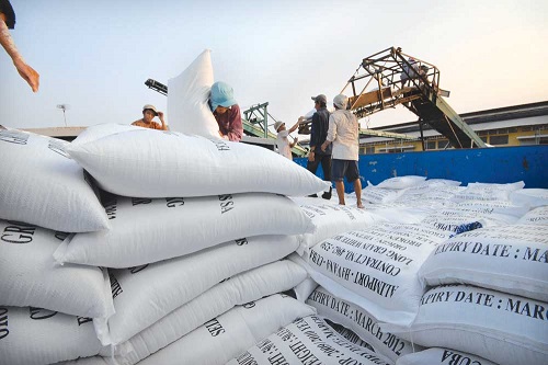 Xuất khẩu gạo Việt Nam tiếp tục bế tắc