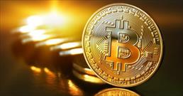 Dân“cày” bitcoin tiết lộ sốc: Hôm nay là tỉ phú, mai lại trắng tay