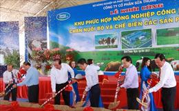 “Bình Thuận phải trở thành trung tâm năng lượng sạch của Việt Nam”